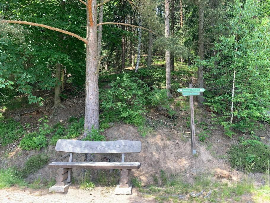 Waldferienhaus Dunja Mit Whirlpool, Sauna U Garten Hain  Esterno foto
